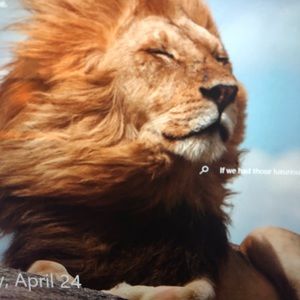 Meet your Posher, Michelle